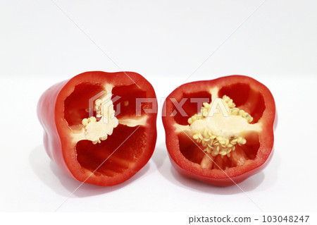 紅辣椒粉截面 103048247