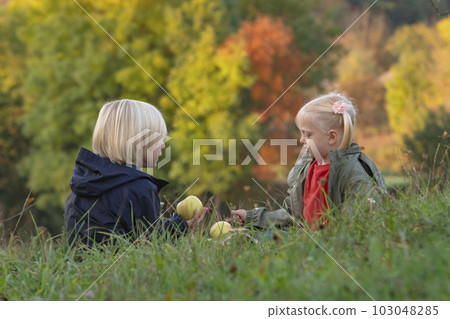 Blond boy and fair-haired girl sit on grass and eat apples. Children on picnic on autumn day. Little brother and sister resting in nature Blond boy and fair-haired girl sit on grass and eat apples. Children on picnic on autumn day. Little brother and sister resting in nature 103048285