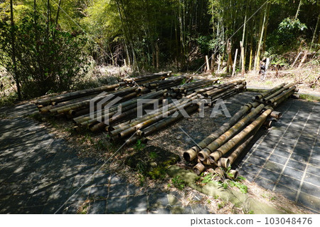 野村綜合研究所茶室遺跡 野村綜合研究所茶室遺跡 103048476