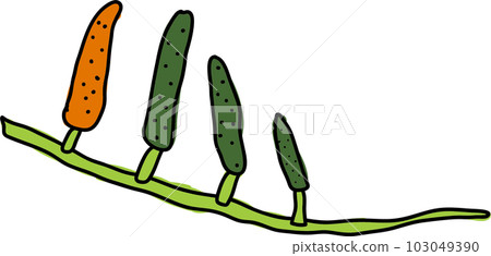 hihatsu cute illustration 103049390