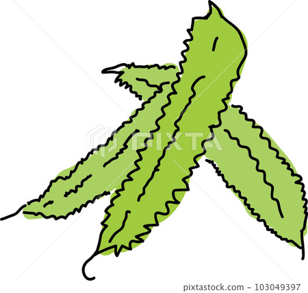 Urizun beans illustration 103049397