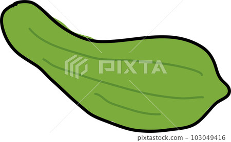絲瓜插圖 103049416