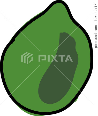 木瓜插圖 木瓜插圖 103049417