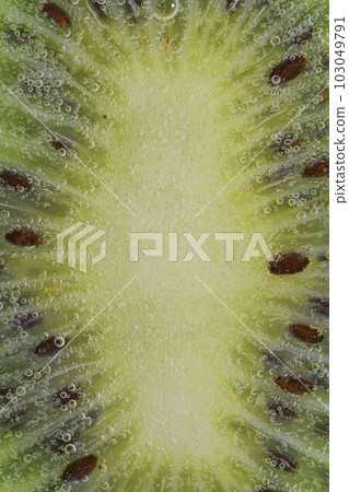 Slice of ripe kiwi fruit in water on white background. Close-up of kiwi fruit in liquid with bubbles. Slice of ripe kiwi in sparkling water. Macro image of fruit in carbonated water. Slice of ripe kiwi fruit in water on white background. Close-up of kiwi fruit in liquid with bubbles. Slice of ripe kiwi in sparkling water. Macro image of fruit in carbonated water. 103049791
