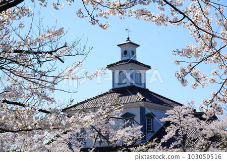 鶴岡知道博物館 103050516