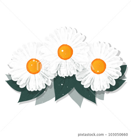 Flower 103050660