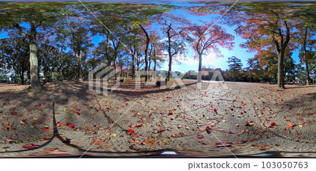 360度(360°VR素材)在秋葉盛開的季節拍攝 360度(360°VR素材)在秋葉盛開的季節拍攝 103050763
