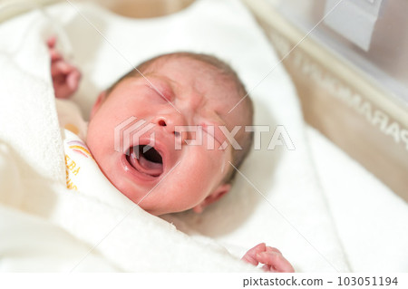 剛出生的新生兒 103051194
