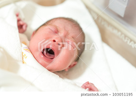 Newborn just after birth Newborn just after birth 103051195