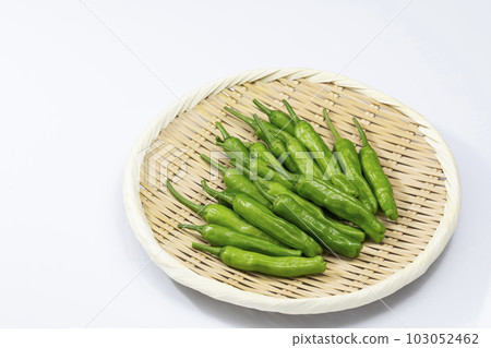 Shishito peppers on a colander with a white background 103052462