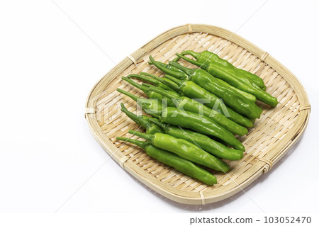 Shishito peppers on a colander with a white background Shishito peppers on a colander with a white background 103052470