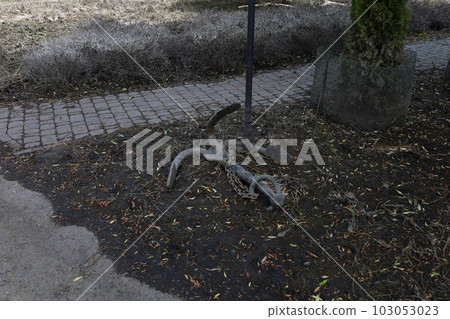 The consequences of flooding in the park, river overflow after heavy rain, fresh 103053023