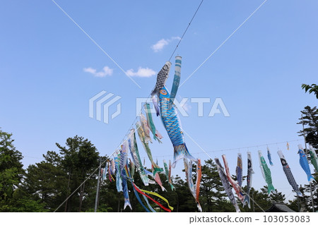 鯉魚旗 鯉魚旗 103053083
