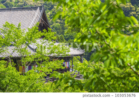 長谷寺，在新綠的季節從蓮花谷看大殿（奈良縣櫻井市初瀨） 103053676