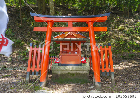 Hasedera Inari Shrine Fresh green season (Hatsuse, Sakurai City, Nara Prefecture) Hasedera Inari Shrine Fresh green season (Hatsuse, Sakurai City, Nara Prefecture) 103053695