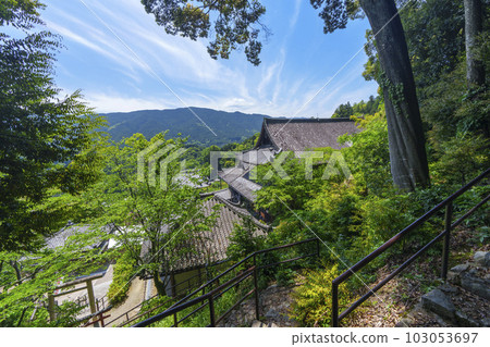 Hasedera Temple overlooking the main hall surrounded by fresh greenery from near Inari Shrine (Hatsuse, Sakurai City, Nara Prefecture) Hasedera Temple overlooking the main hall surrounded by fresh greenery from near Inari Shrine (Hatsuse, Sakurai City, Nara Prefecture) 103053697