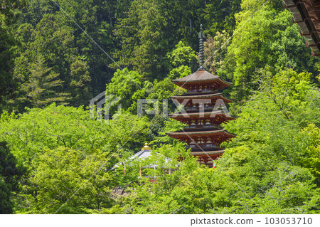 View of the five-storied pagoda from the stage of Hasedera Main Hall (Hatsuse, Sakurai City, Nara Prefecture) View of the five-storied pagoda from the stage of Hasedera Main Hall (Hatsuse, Sakurai City, Nara Prefecture) 103053710