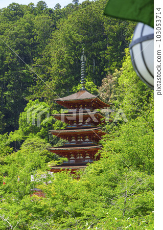 View of the five-storied pagoda from the stage of Hasedera Main Hall (Hatsuse, Sakurai City, Nara Prefecture) View of the five-storied pagoda from the stage of Hasedera Main Hall (Hatsuse, Sakurai City, Nara Prefecture) 103053714