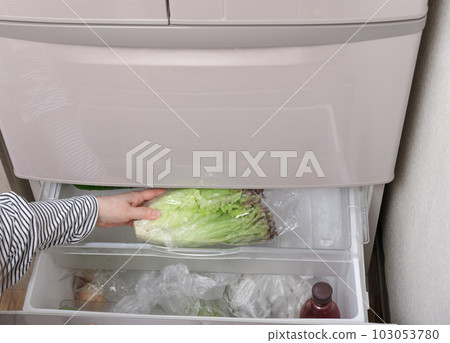 【主婦從菜房裡拿出生菜】 【主婦從菜房裡拿出生菜】 103053780
