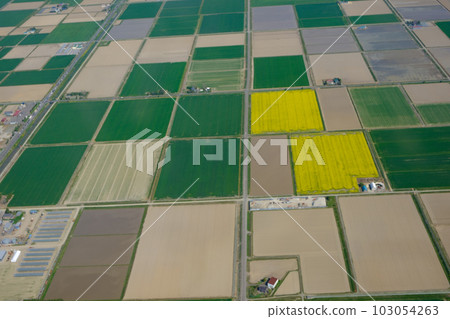 Spring field patchwork pattern Spring field patchwork pattern 103054263
