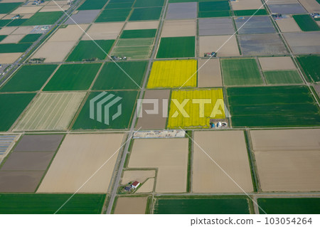 Spring field patchwork pattern Spring field patchwork pattern 103054264
