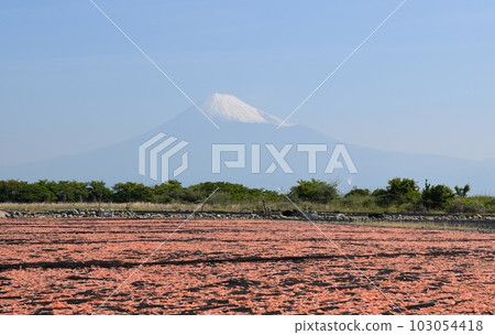 Blue sky, Mt.Fuji and sakura shrimp Shizuoka Blue sky, Mt.Fuji and sakura shrimp Shizuoka 103054418