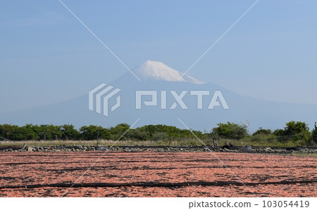 Blue sky, Mt.Fuji and sakura shrimp Shizuoka Blue sky, Mt.Fuji and sakura shrimp Shizuoka 103054419
