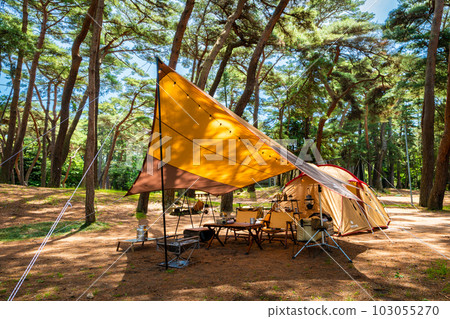在森林地點露營的圖像 103055270