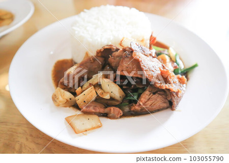 stir fried beef with onion and green shallot or stewed beef and rice 103055790