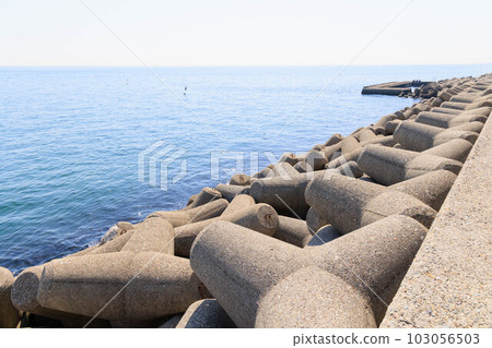 夏季海和四足動物“二見人工島” 103056503