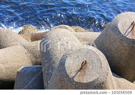 夏季海和四足動物“二見人工島” 103056509