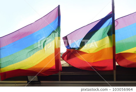 Pride rainbow lgbt gay flag being waved on sky background Pride rainbow lgbt gay flag being waved on sky background 103056964