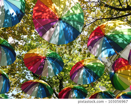 Pride rainbow lgbt gay flag umbrellas 103056967