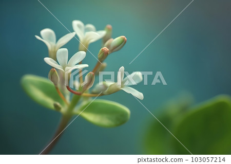 Fresh lilac blossom beautiful purple flowers. Neural network AI generated art 103057214