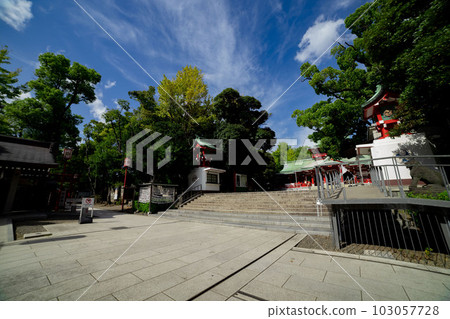 The main hall of Tomioka Hachimangu [Shrine image] 103057728
