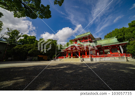 The main hall of Tomioka Hachimangu [Shrine image] 103057735