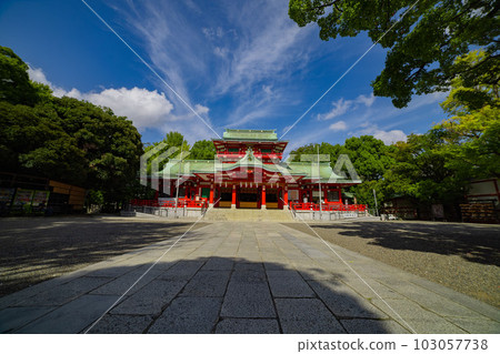 The main hall of Tomioka Hachimangu [Shrine image] 103057738