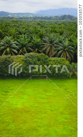 A large green futbol field with a Jungle in the background 103058577