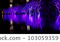 night illumination of the pool, thousands of blue light bulbs on trees, night sky with reflection in the pool, Indonesia, Bali 103059359