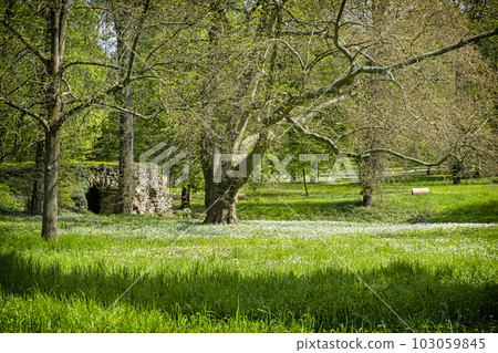 Manor park in Dolna Krupa, Slovakia Manor park in Dolna Krupa, Slovakia 103059845