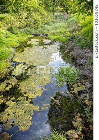 Manor park in Dolna Krupa, Slovakia 103059848