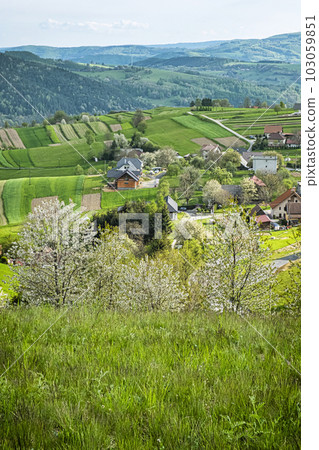 Historic agrarian landscape, Hrinovske lazy, Slovakia 103059851