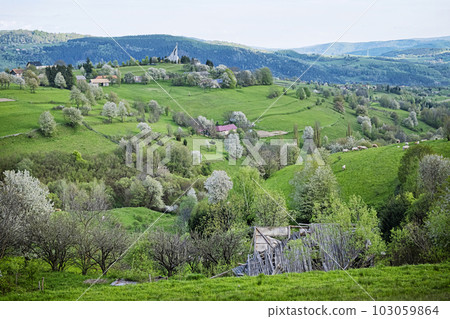Historic agrarian landscape, Hrinovske lazy, Slovakia 103059864