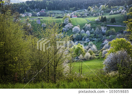 Historic agrarian landscape, Hrinovske lazy, Slovakia 103059885