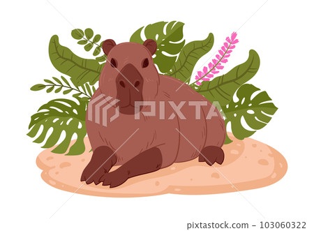 Wild capybara. Cartoon semi-aquatic herbivore in natural habitat. Mammal capybara flat vector illustration Wild capybara. Cartoon semi-aquatic herbivore in natural habitat. Mammal capybara flat vector illustration 103060322