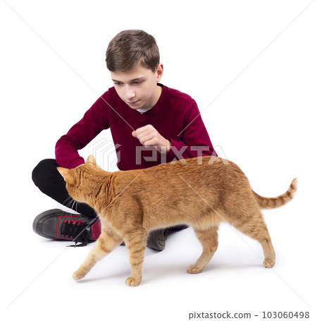 Teenage boy playing with red cat Teenage boy playing with red cat 103060498