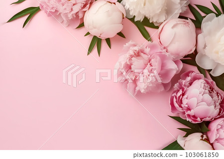 Tender peonies on pink background with copy space. Abstract natural floral frame layout with text space. Romantic feminine composition. Wedding invitation. International Women day, Mother Day concept 103061850