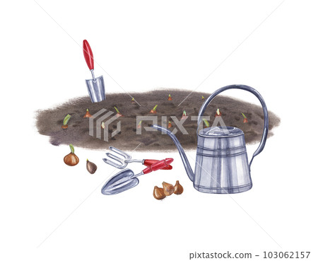 Planting flower bulbs in the ground and caring for them. Watering can, soil, hand trowel, small fork, bulb of tulips, daffodils. Watercolor illustration for the design of booklet, flyer, label Planting flower bulbs in the ground and caring for them. Watering can, soil, hand trowel, small fork, bulb of tulips, daffodils. Watercolor illustration for the design of booklet, flyer, label 103062157