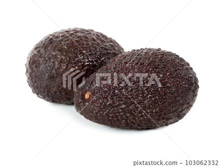 Two raw fresh avocado fruits 103062332