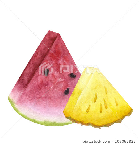 Watermelon pineapple pink red yellow slice fresh. Hand drawn watercolor illustration isolated on white background. Design element for bar, restaurant menu Watermelon pineapple pink red yellow slice fresh. Hand drawn watercolor illustration isolated on white background. Design element for bar, restaurant menu 103062823